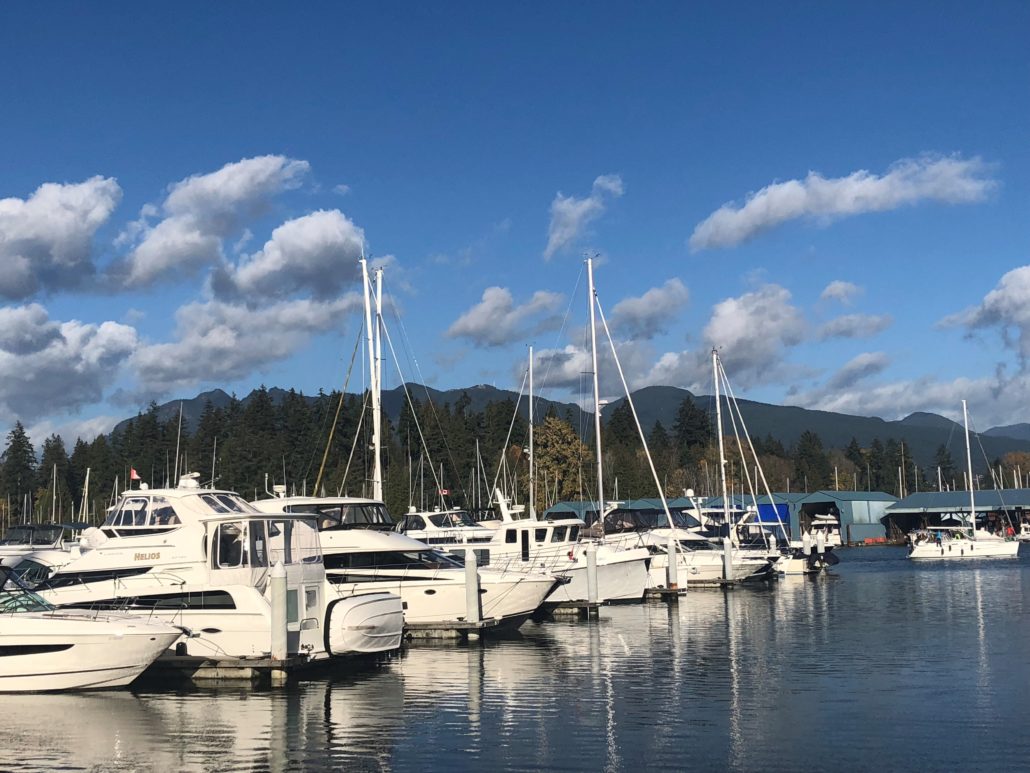 Coal Harbour - Shirley B Sun